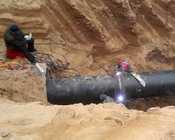 1775697939209306.jpg 1745564015673374.jpg